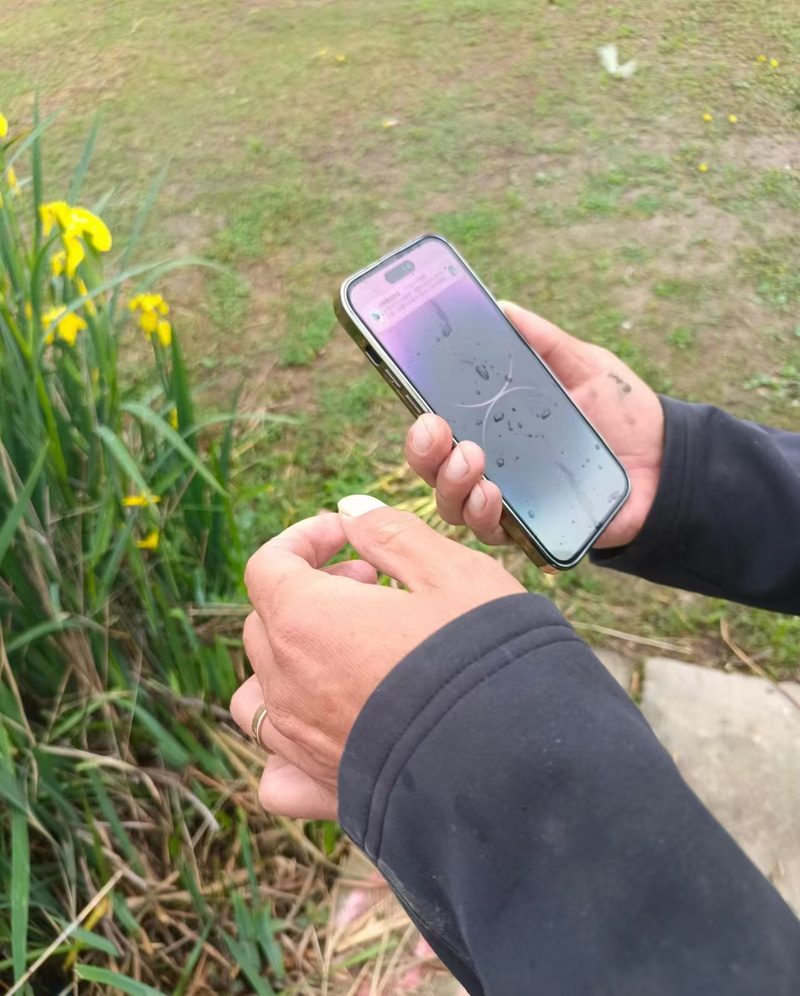 花500打捞手机未果,打捞队捞手机