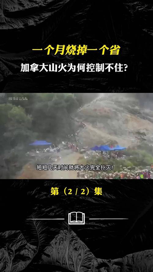 新闻中心 第5页