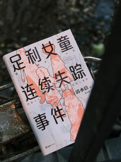 无罪释放悬赏寻真凶,《无罪释放》