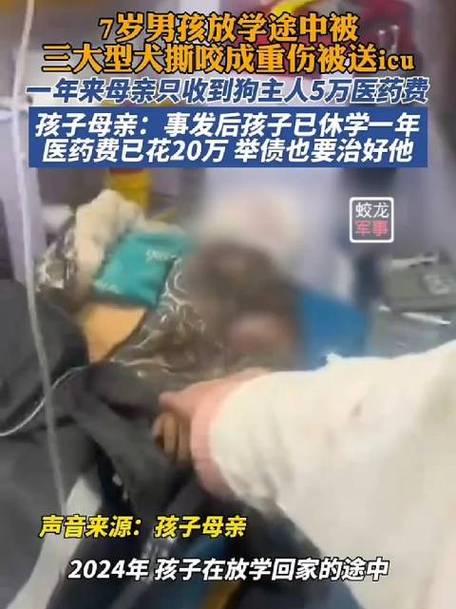 澳门6合开奖结果和7岁男孩遭3只犬撕咬与7岁男孩遭3只犬撕咬怎么办