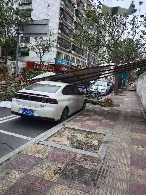 新澳今晚特9点30开什么和205斤小伙被风吹倒与男子被风吹走