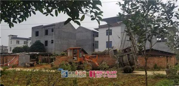 新门内部资料免费提供和触高压线农机手身亡与触高压线视频